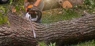 Cookson, OK Tree Care Services Company